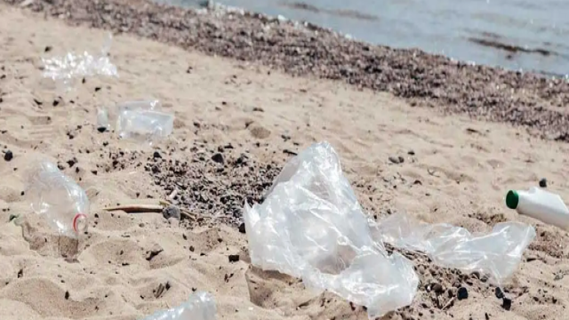 Cox's Bazar's Plastic Tide: A Growing Threat to Tourism, Marine Life and Health