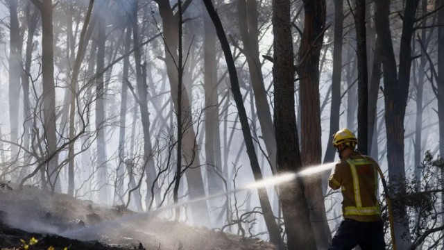At Least 12 Killed as Wildfire Sweeps Southern Spain Amid Extreme Heatwave