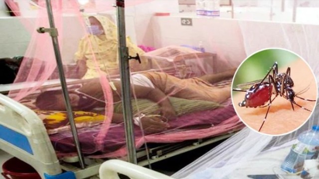 Dengue Cases Rise to 172 in Sylhet Division
