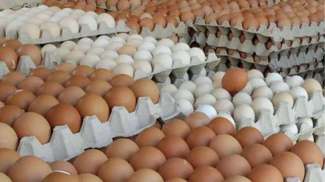 Egg Prices Soar in Sylhet as Syndicate Manipulation Alleged