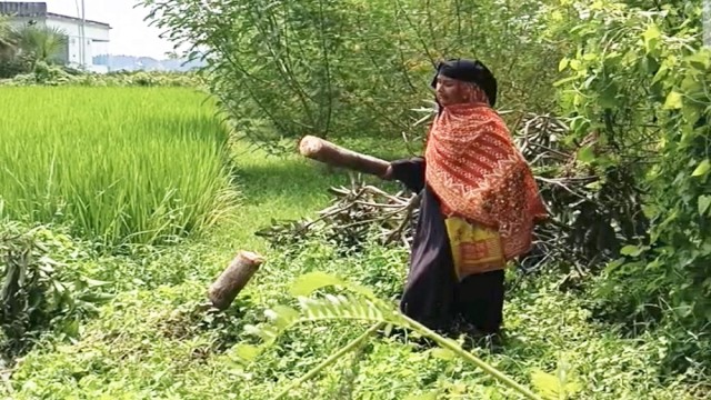 Widow Alleges Brother-in-Law Cut Down Fruit Trees in Tanore