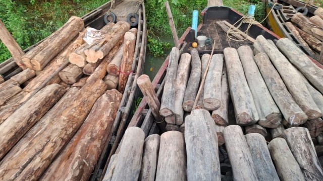 3,500 Cubic Feet of Timber Seized in Rangamati