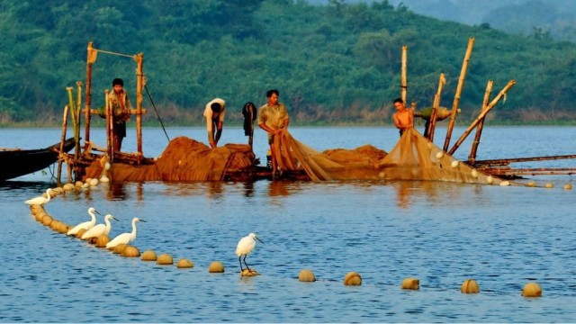Kaptai Lake Fishing Ban Extended to August 10