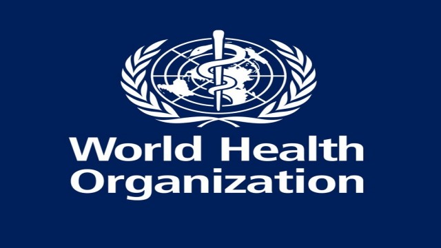 World Health Organization chief arrived in Spain